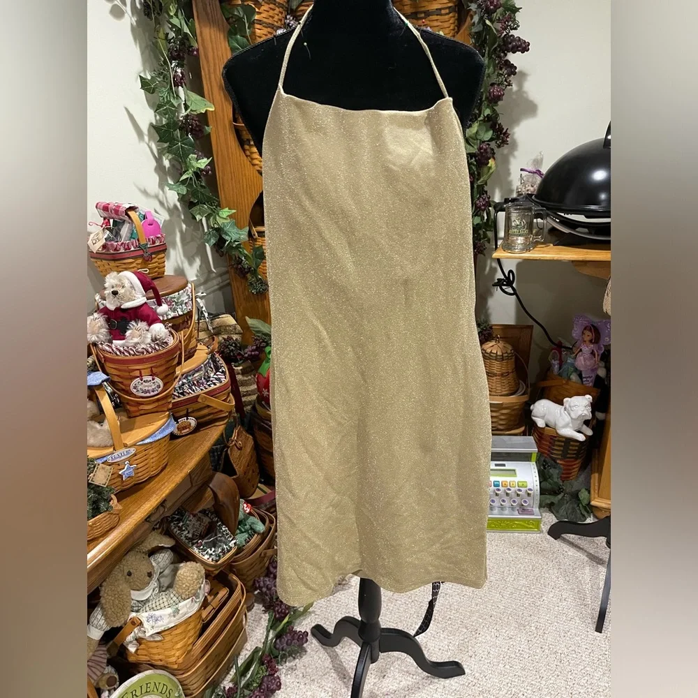 Express Dress - Picture 1 of 5